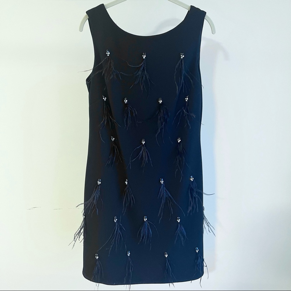 Harper Rose black feather crystal evening dress